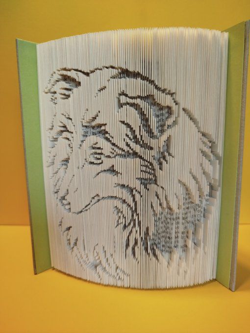 Colley ( coupé plié)