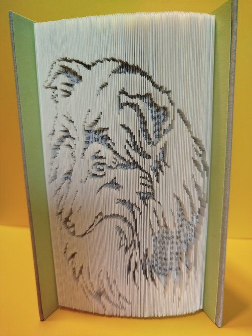 Colley ( coupé plié)