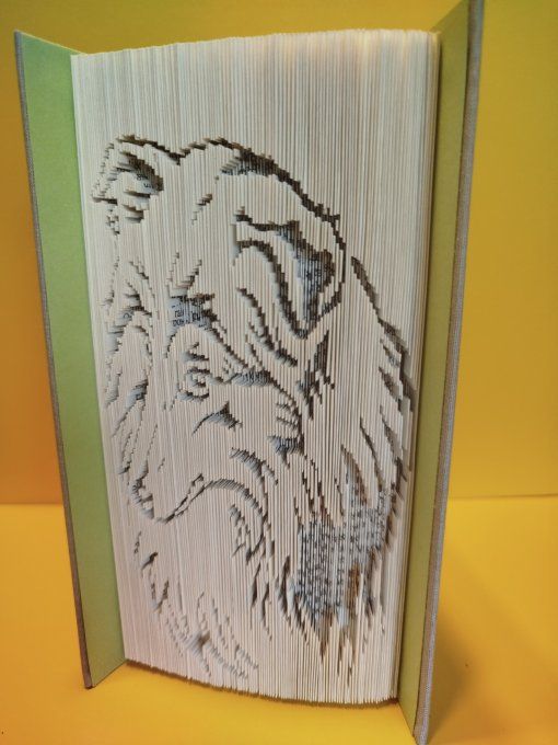 Colley ( coupé plié)