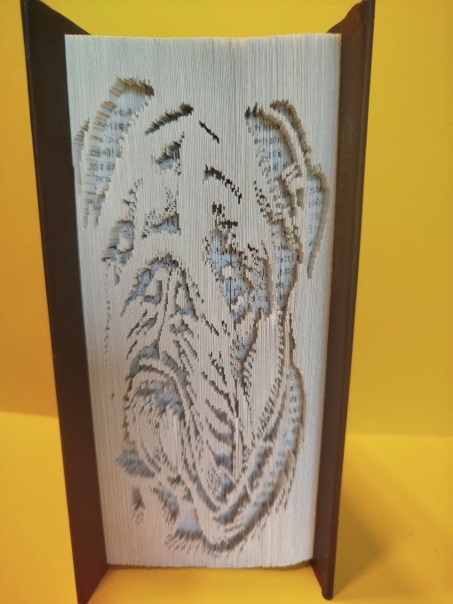 Bouledogue (coupé plié)