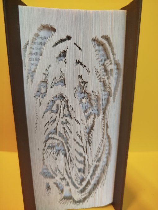 Bouledogue (coupé plié)