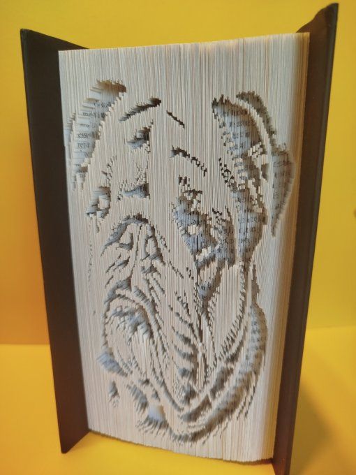 Bouledogue (coupé plié)