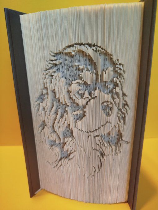 Cavalier king charles ( coupé plié)