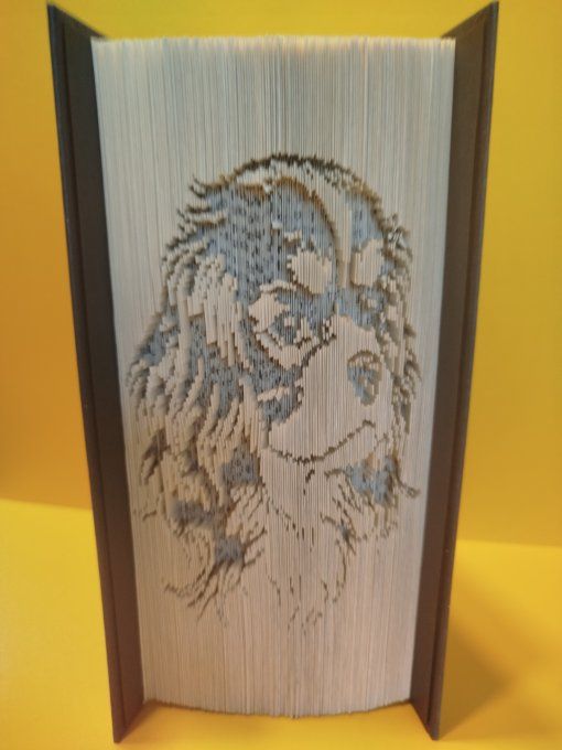 Cavalier king charles ( coupé plié)