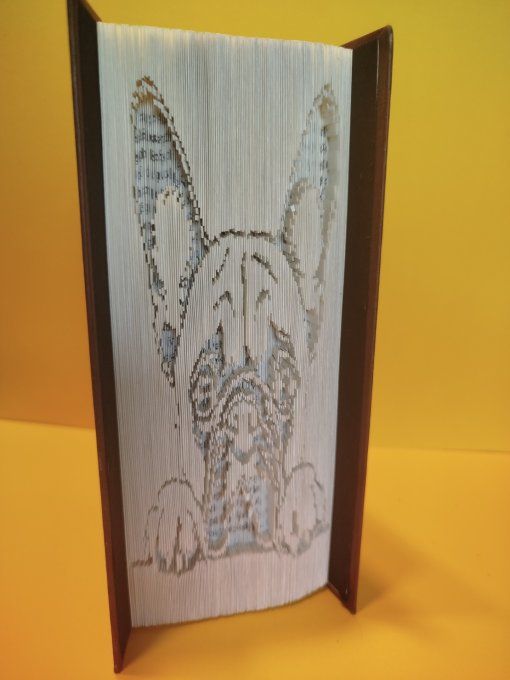 Bouledogue français ( coupé plié)