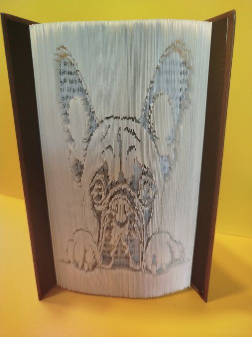 Bouledogue français ( coupé plié)