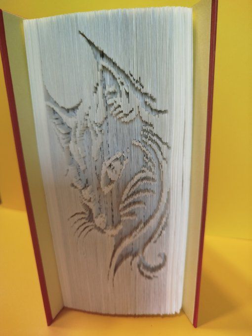 Chat ( coupé plié)