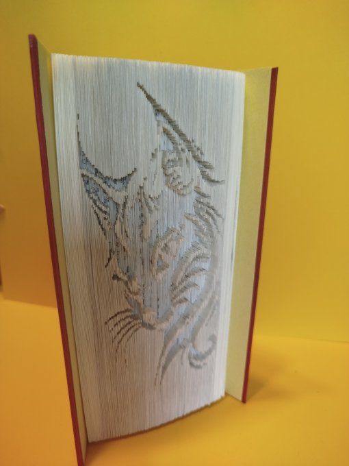 Chat ( coupé plié)