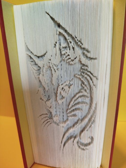 Chat ( coupé plié)