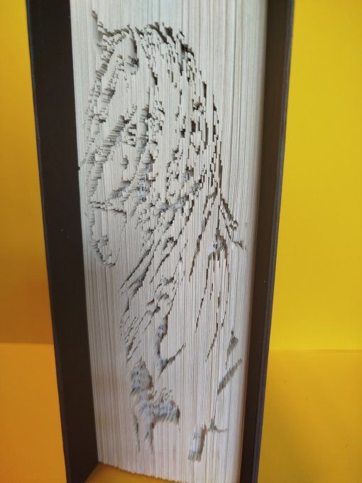 Cheval ( coupé plié)