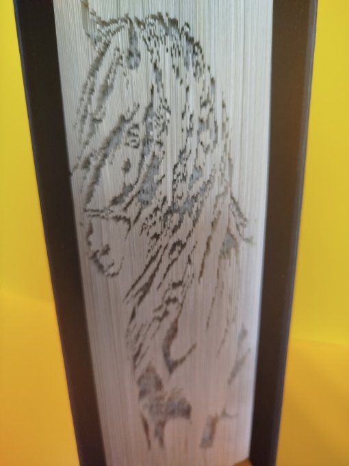 Cheval ( coupé plié)