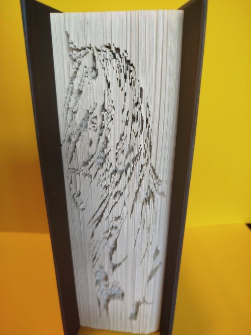 Cheval ( coupé plié)