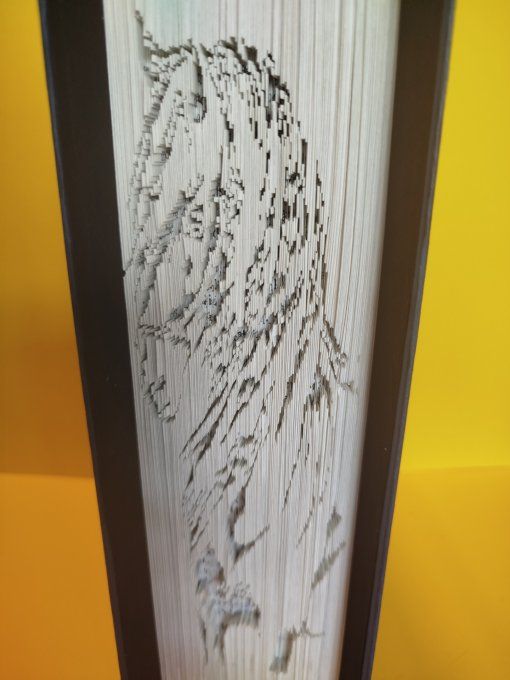 Cheval ( coupé plié)