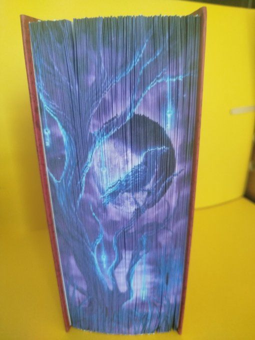 Corbeau dans la nuit ( version strip)