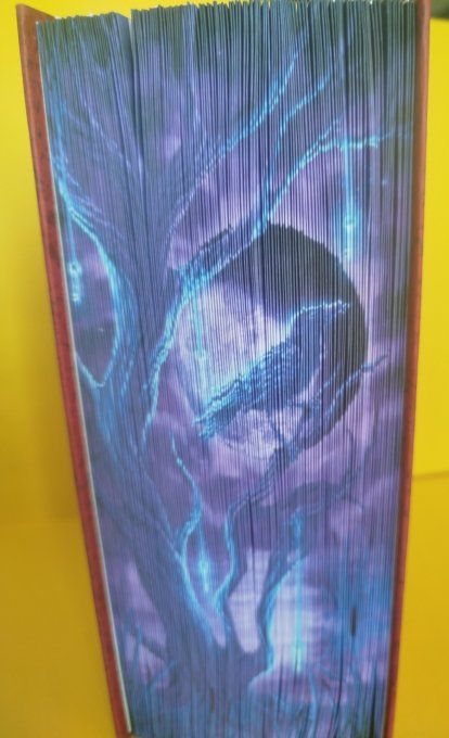 Corbeau dans la nuit ( version strip)