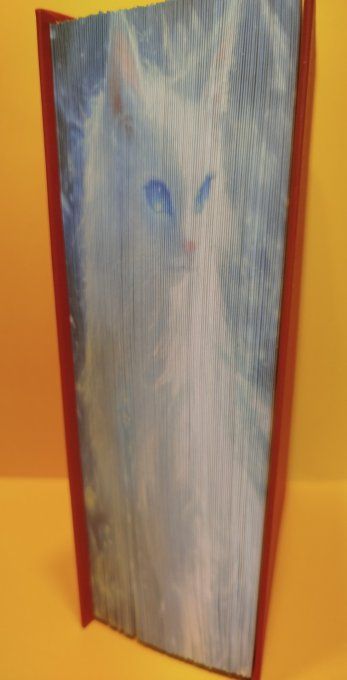 Chat blanc aux yeux bleus ( méthode strip)