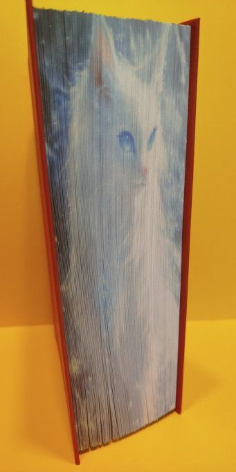 Chat blanc aux yeux bleus ( méthode strip)