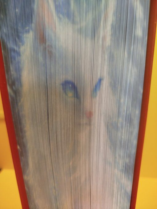 Chat blanc aux yeux bleus ( méthode strip)