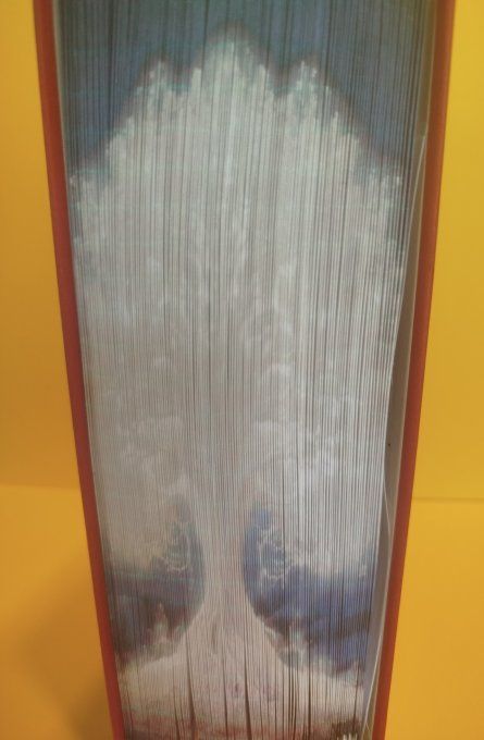 Arbre de vie ( méthode "strip"