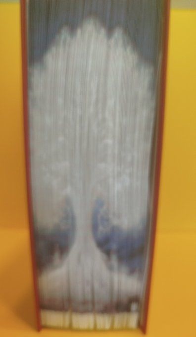 Arbre de vie ( méthode "strip"