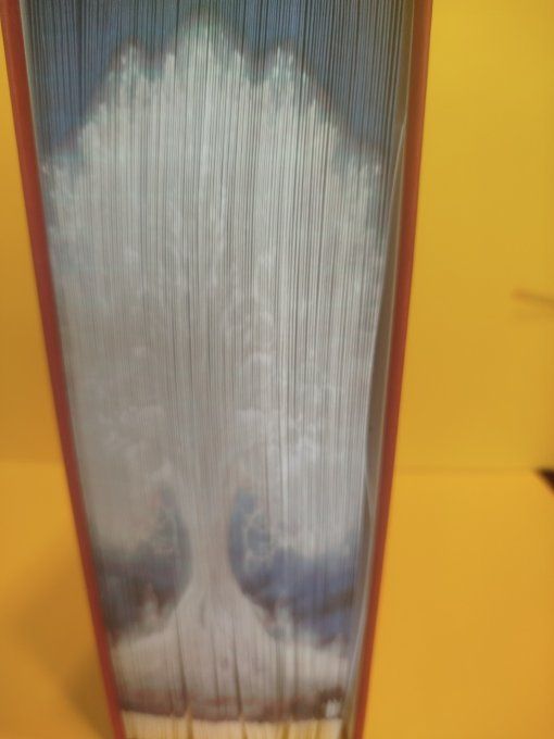 Arbre de vie ( méthode "strip"