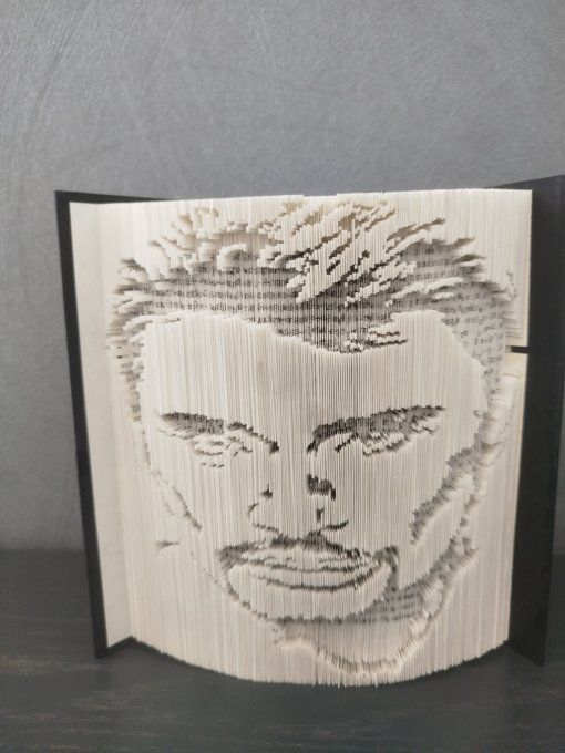 JOhnny Hallyday