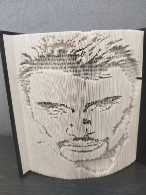 JOhnny Hallyday