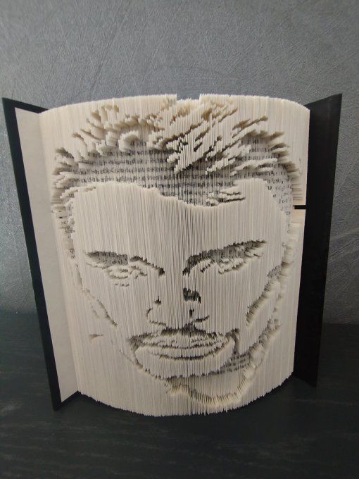 JOhnny Hallyday