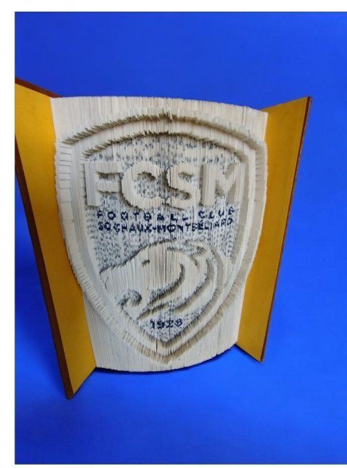 FCSM Patron a realiser soi meme