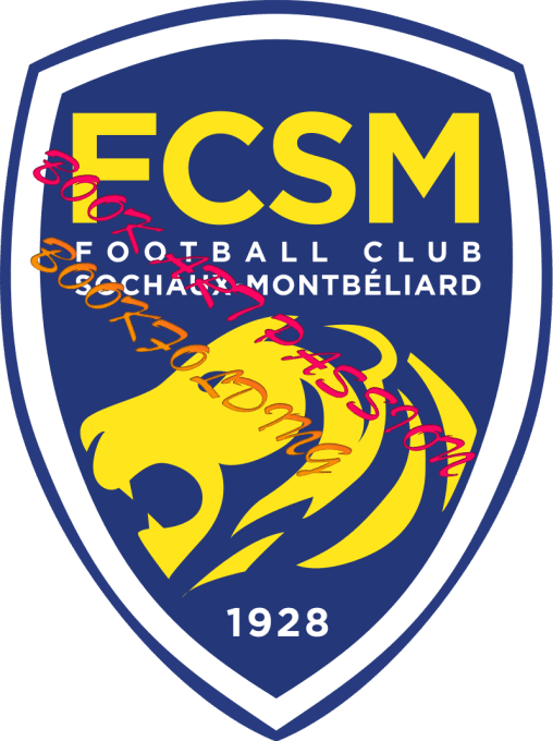 FCSM Patron a realiser soi meme